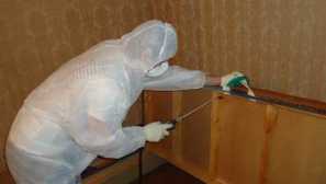 Как да приготвим апартамент за дезинсекция от дървеници